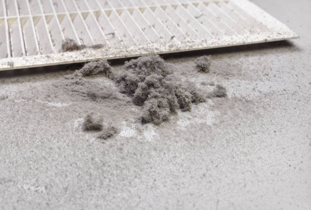 Affordable HVAC Duct Cleaning in MO