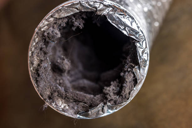 Best Affordable Duct Cleaning Services  in Salem, MO